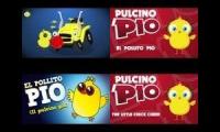 4 pulcino pio polyglot