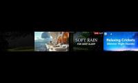 Thumbnail of Night Time Sounds of Deep Sleep