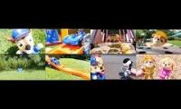 up to faster 8 parison to paw patrol