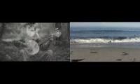Ocean and banjo rain