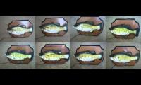 Thumbnail of 8 big mouth Billy basses