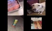 Thumbnail of The Ultimate Salami Lid