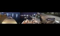 Cam 1, Cam 2, Cam 3 EVNautilus