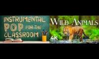 Thumbnail of Martin and Libbys classroom music thats actually for Mrs. Obriens class