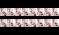 Thumbnail of 2342423423fsddfsfdssdf