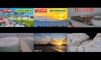 Thumbnail of Live From California