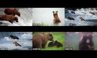 Thumbnail of Katmai: BF, ,RF, KRV, RW