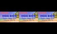 Thumbnail of Karaoke HOA BIỂN (Tone Nam) – Giai Điệu Trữ Tình Vượt Thời Gian