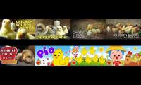 Thumbnail of Baby Chicken chirps and plim plim chick songs at once