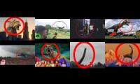 Real Dinosaurs Caught on Camera in Real Life Eightparison