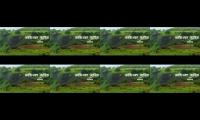 Thumbnail of dsfsdgdsgasdgfasfdsafdsf