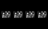 Thumbnail of 444444444444444444444444444444444444444444444444444444444444444