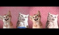 Thumbnail of Preview 2 Numa Cat MIDI Effects