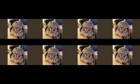 Thumbnail of WEB MULTI TAB PENAMBAH VIEWER JAM TAYANG99