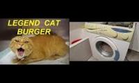 Thumbnail of Cat named Burger angry