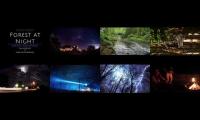 Thumbnail of Nature and human sounds to sleep to