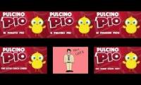 PULCINO PIO - Five to Six Languages at the Same Time!