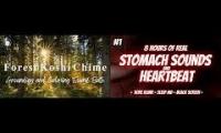 Thumbnail of Stomach heartbeat chimes and nature for sleep