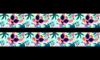 up to faster 8 parison to lingokids song