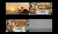 Thumbnail of Wildlife Park All Intros and Trailers