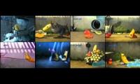 Thumbnail of All larva Episodes play at the same time rcti version 3