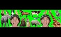 Thumbnail of Dream English Kids A to Z Animals Chant with Matt mashup
