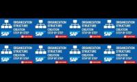 organiztion structure