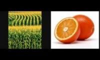Colors Song for Children