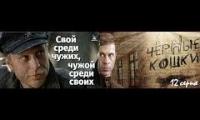 Свой среди чужих, чужой среди своих Черные кошки