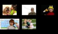 Thumbnail of Baby Dolittle: Neighborhood Animals, Animal Videos For Kids Baby Einstein Full Episode