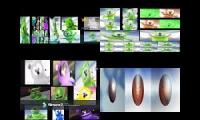 Thumbnail of 52 Gummy Bears In Dexter64 Mii