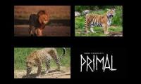 Thumbnail of A Horde of Ian Fairleys videos