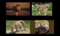 Thumbnail of Ian Fairley Lion Tiger Leopard and Halloween FX Productions T-Rex Roars
