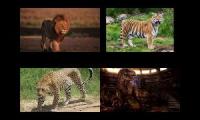 Thumbnail of Ian Fairley Larger Cats And Rexy