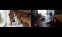 Thumbnail of Cat Scratches One year old Baby