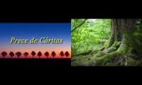Thumbnail of Deus de bondade, dai-nos força, luz e caridade para evoluirmos.