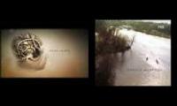 Thumbnail of House MD Old vs New (foreign) Intro Sequences