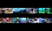 Thumbnail of Wall-E Full Movie Part 3
