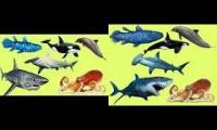 Animals in the Ocean | Learn Animals names and Sounds for Kids