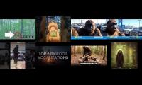 Thumbnail of My Top 8 Bigfoot Videos of 2025.