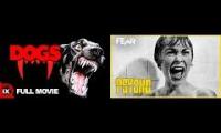 Thumbnail of Shower kill scenes! Dogs 1976 VS Psycho 1