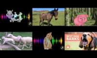 Thumbnail of Up to faster 6 parison to animals