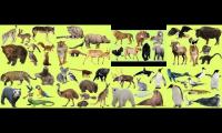Thumbnail of Earth World of Animals All Same Times