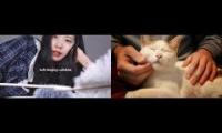 Thumbnail of Time to sleep with humming and cats