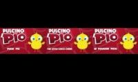 Thumbnail of pulcino pio polyglot 3