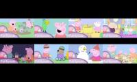 Thumbnail of peppa pig 8 season 1 episodes at once 1st one