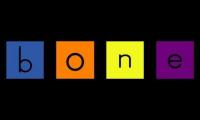 Have Fun Teaching Word Bone