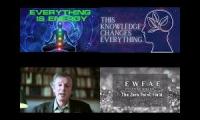 Thumbnail of everything is energy the lifer altering morphic resonance zero