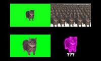 Thumbnail of oai oai cat 4 videos at once