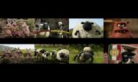 Thumbnail of Every Shaun The Sheep Episodes